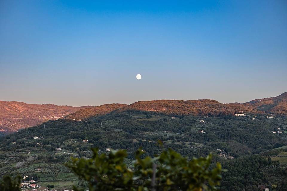 Vista