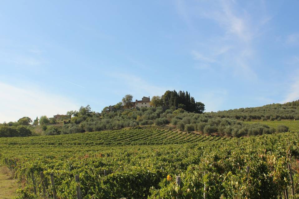 Villa e vigneti