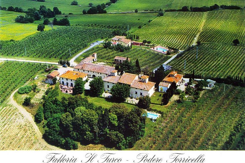 Villa Il Turco&Podere Torricel