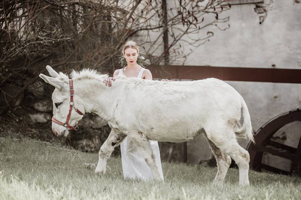 Wedding in campagna