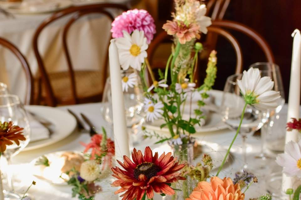 Fiori di stagione