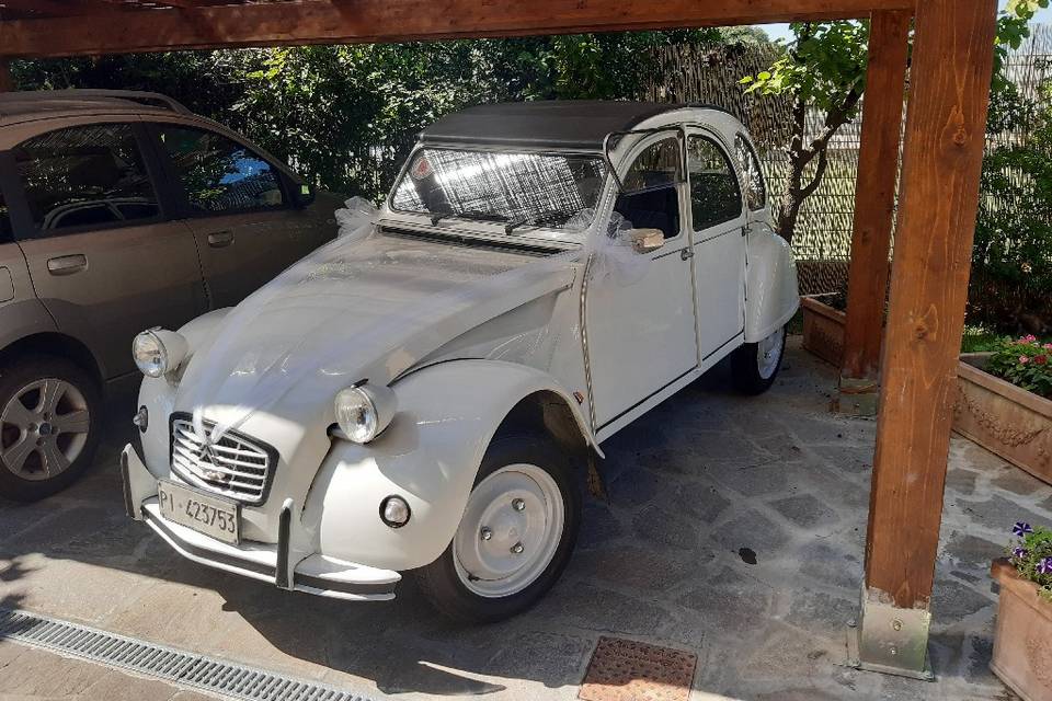 2cv