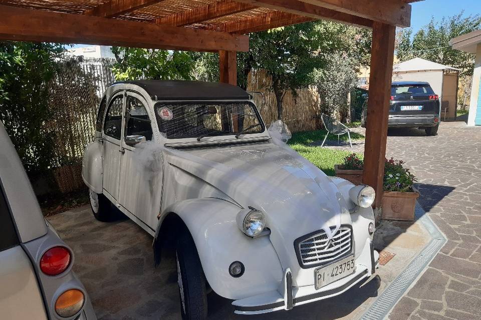 2cv