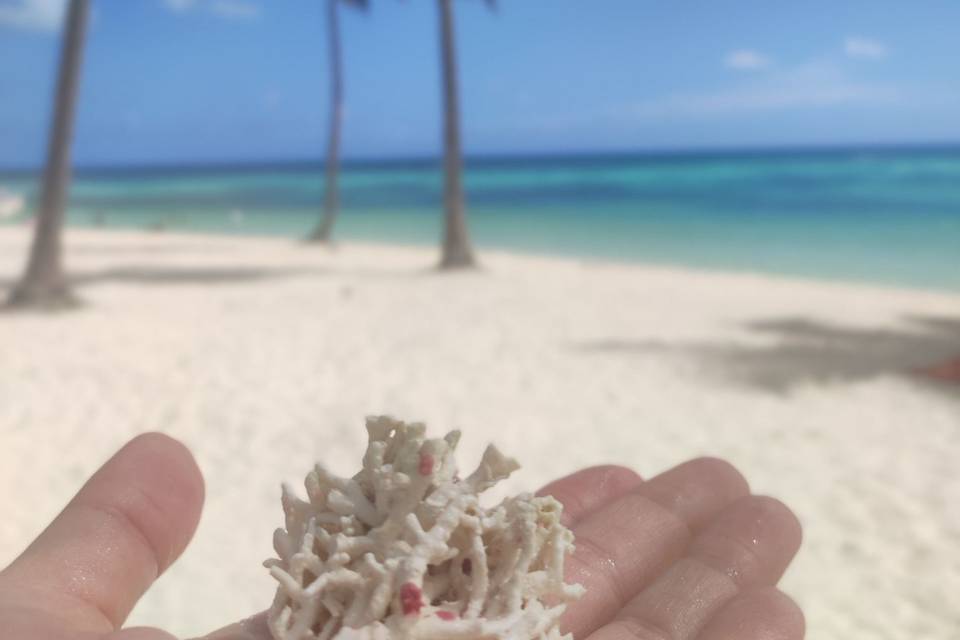 ISLA SAONA REP. DOMINICANA