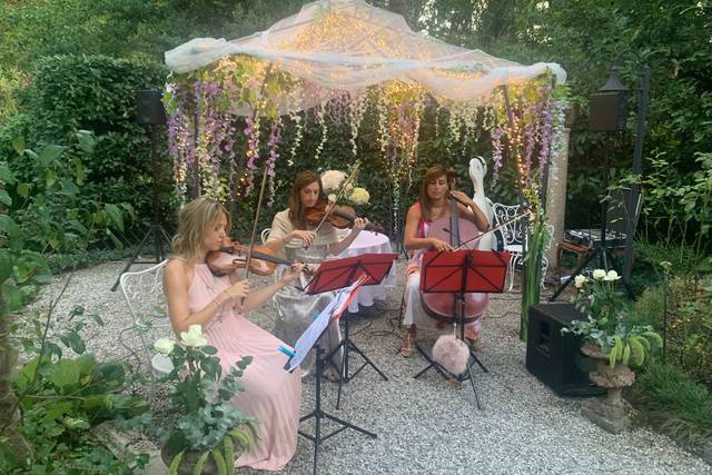 Party privato