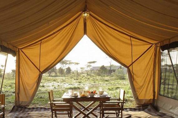 Kenya + safari