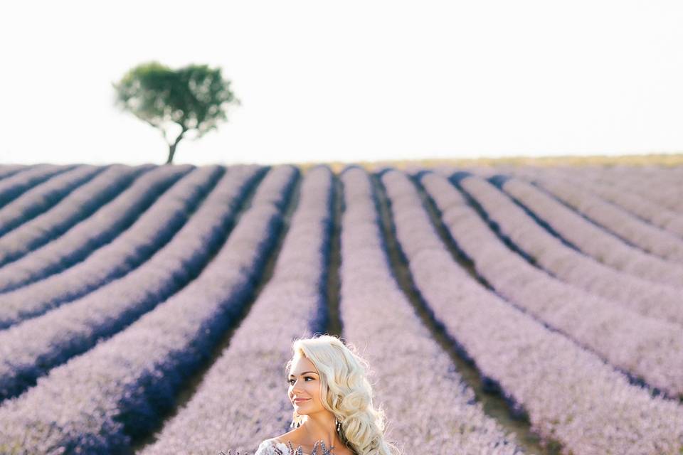 Lavanda