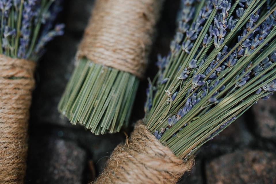 Lavanda