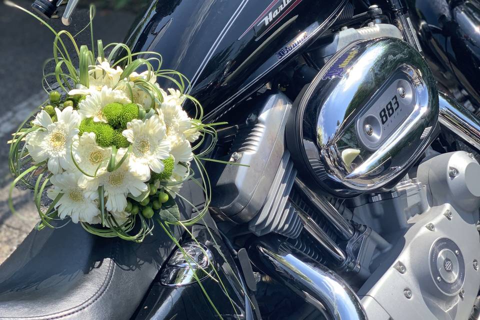 Matrimonio harley