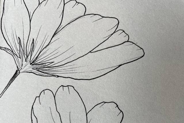 Esempio lavoro con fineliner