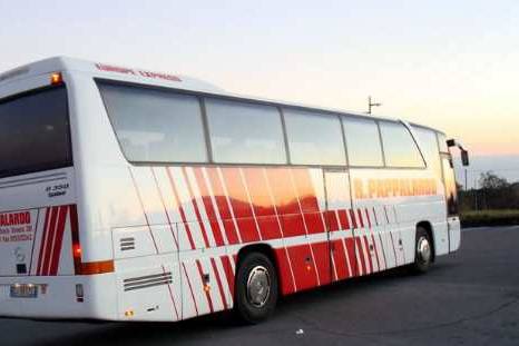 Pappalardo Bus