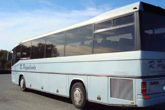 Pappalardo Bus