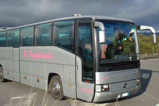 Pappalardo Bus