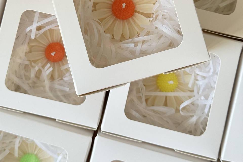 Candele margherita
