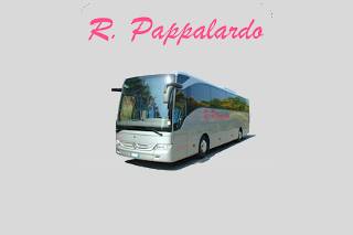 Pappalardo Bus