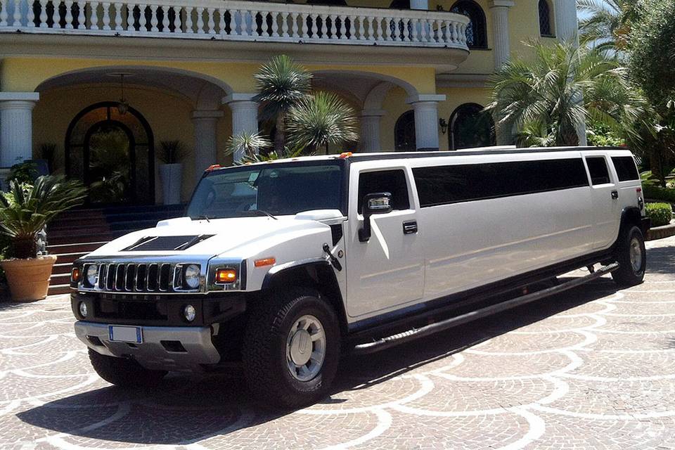 Limousine hammer