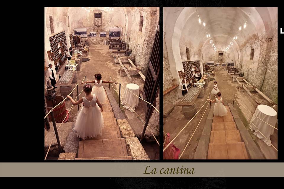 Degustazione vini in cantina