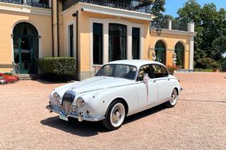 Le Auto di Magnolia