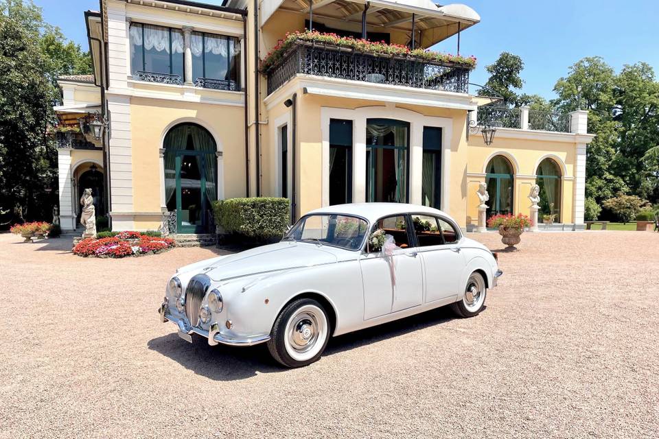 Jaguar MK II Daimler 250 V8 de