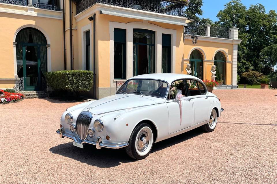 Jaguar MK II Daimler 250 V8 de