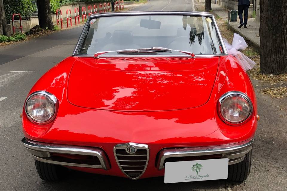 Alfa Romeo Osso di Seppia