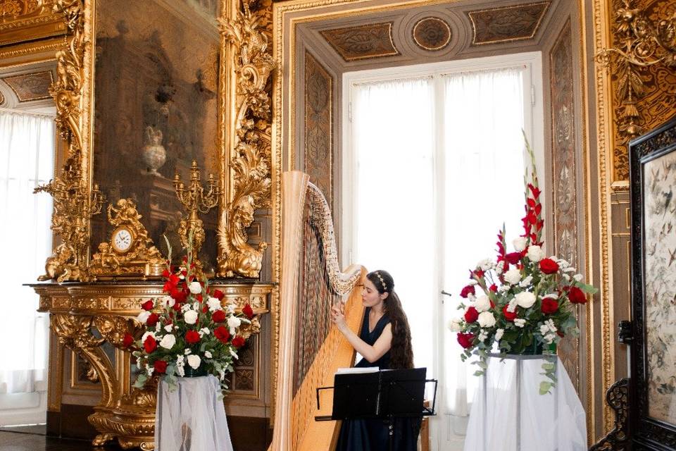 Arpista - Museo Stibbert - FI