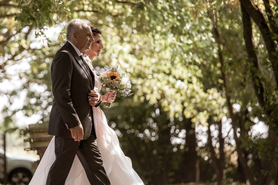 Benedetta Biscaro Fotografa