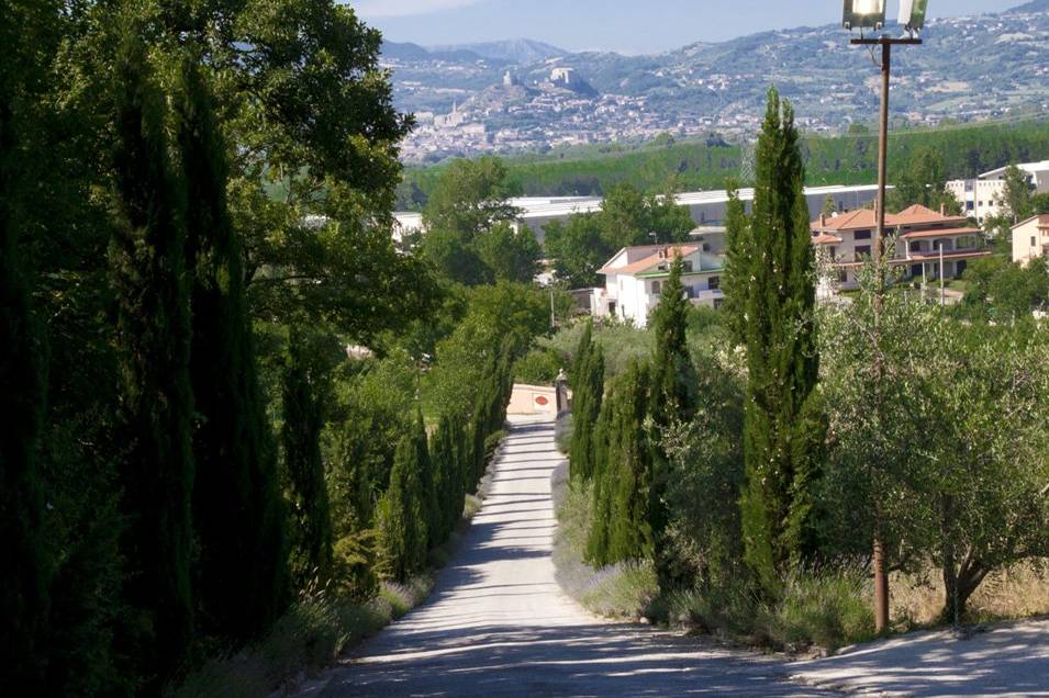 Strada di accesso alla villa