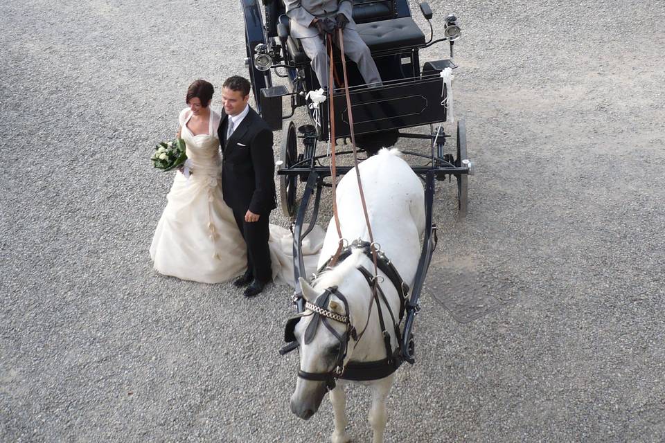 Il Bouquet