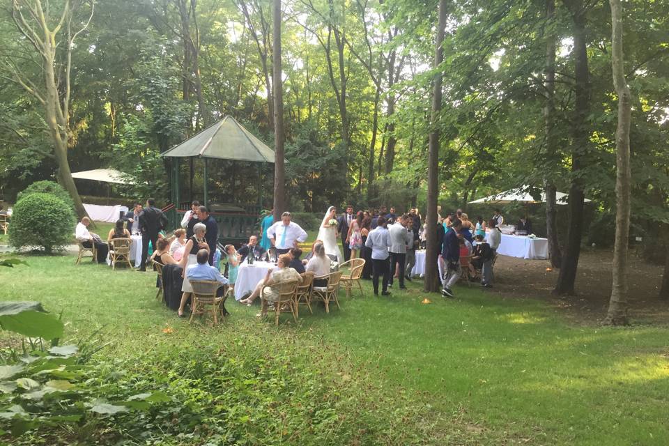 Buffet di benvenuto nel bosco