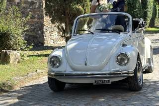 DF Wedding Car