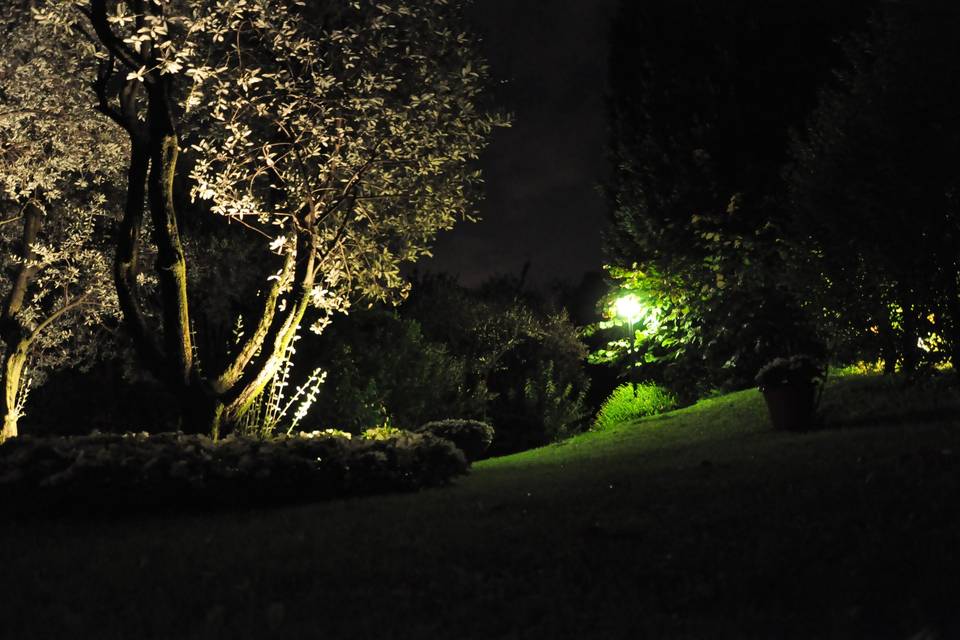 La sera in giardino