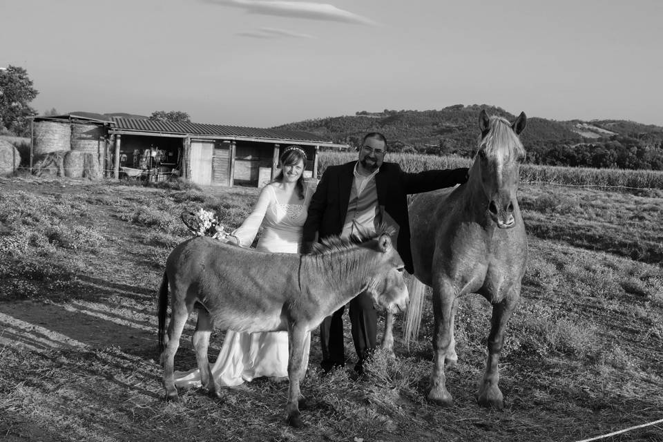 Foto Pigi