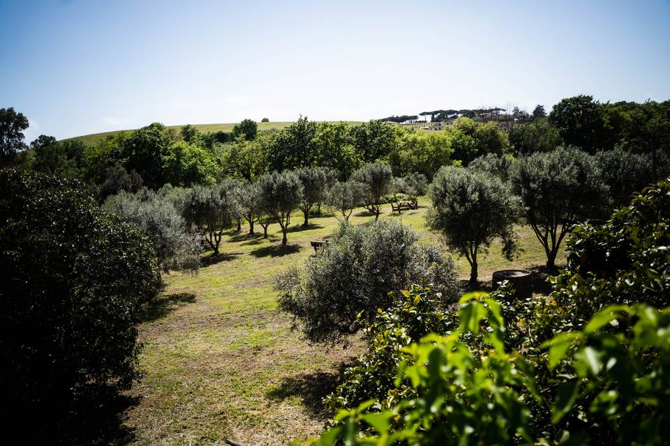 Area Pic-nic nel boschetto