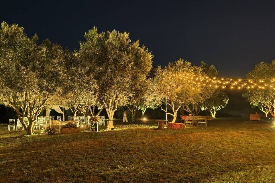 Area Pic Nic di notte