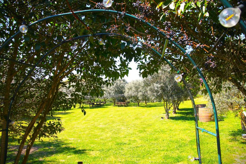 Ingresso Area Pic Nic