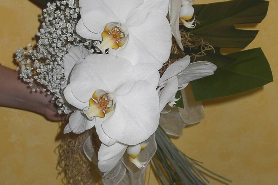 Bouquet con phalaenopsis