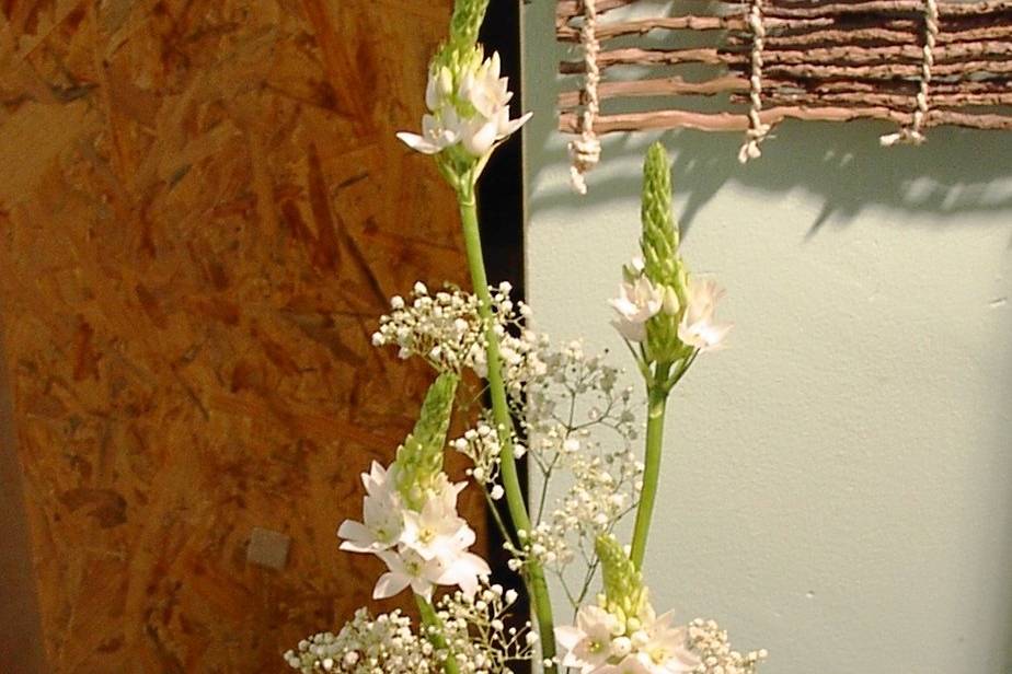 Ikebana di Francesco Adani