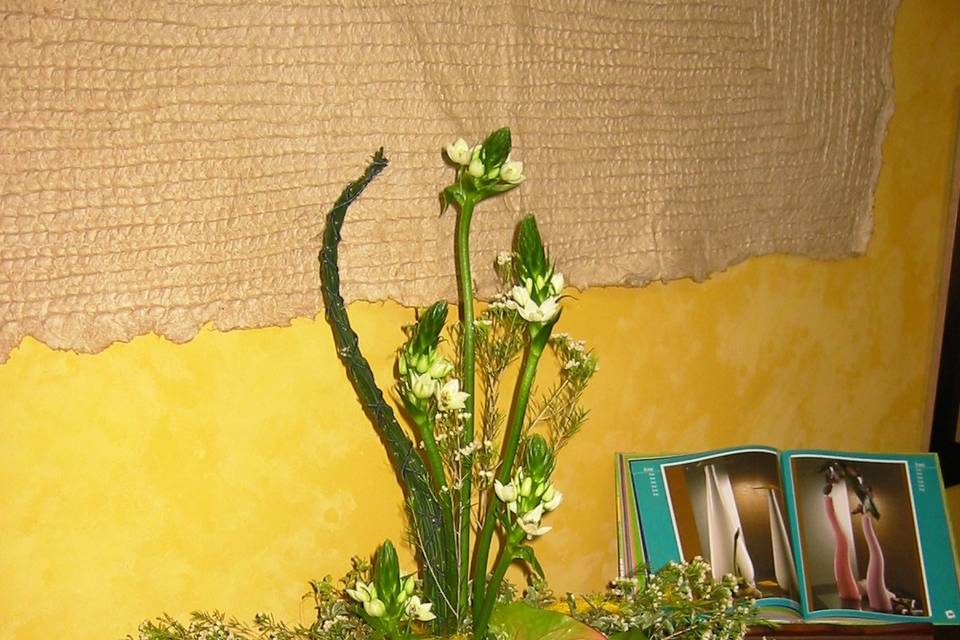 Ikebana di Francesco Adani