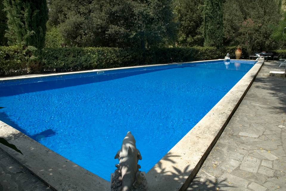 Pool laterale