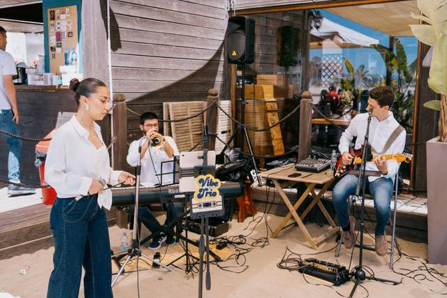 Vibe trio