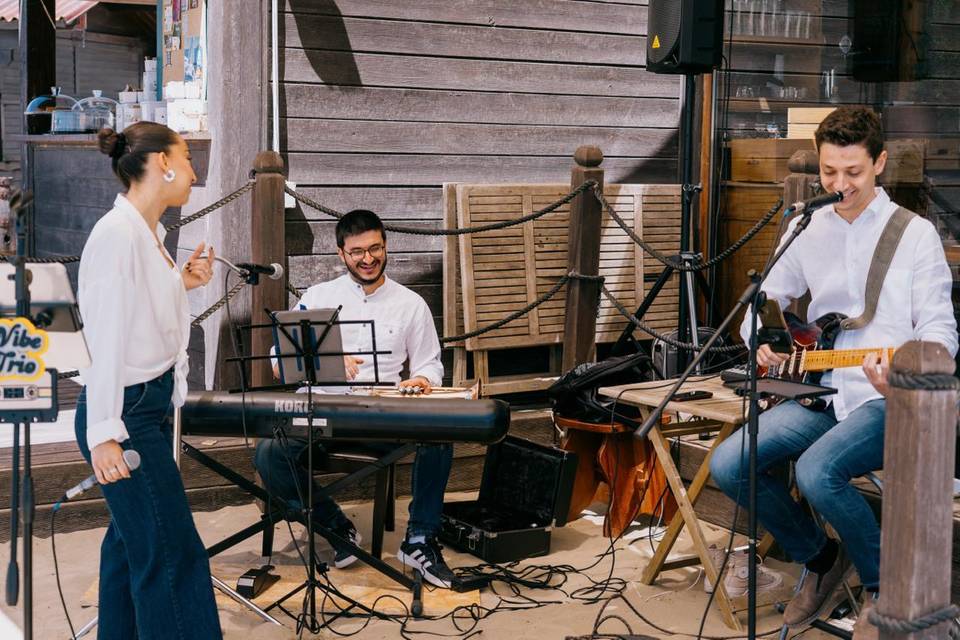 Vibe trio