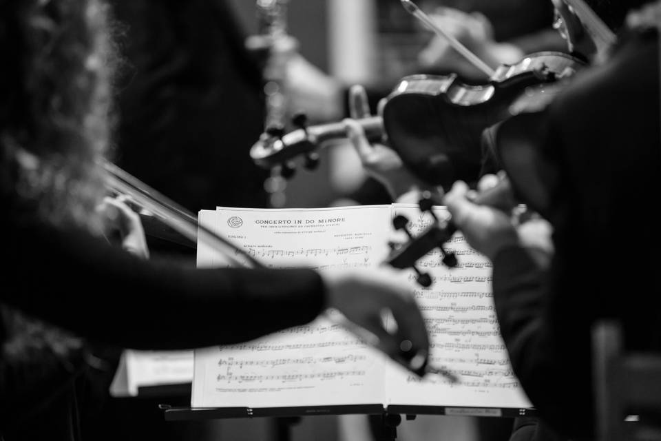 Violinista in duo