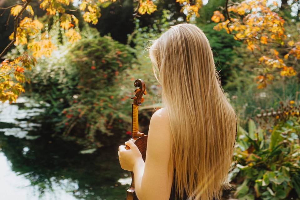 Violinista matrimonio