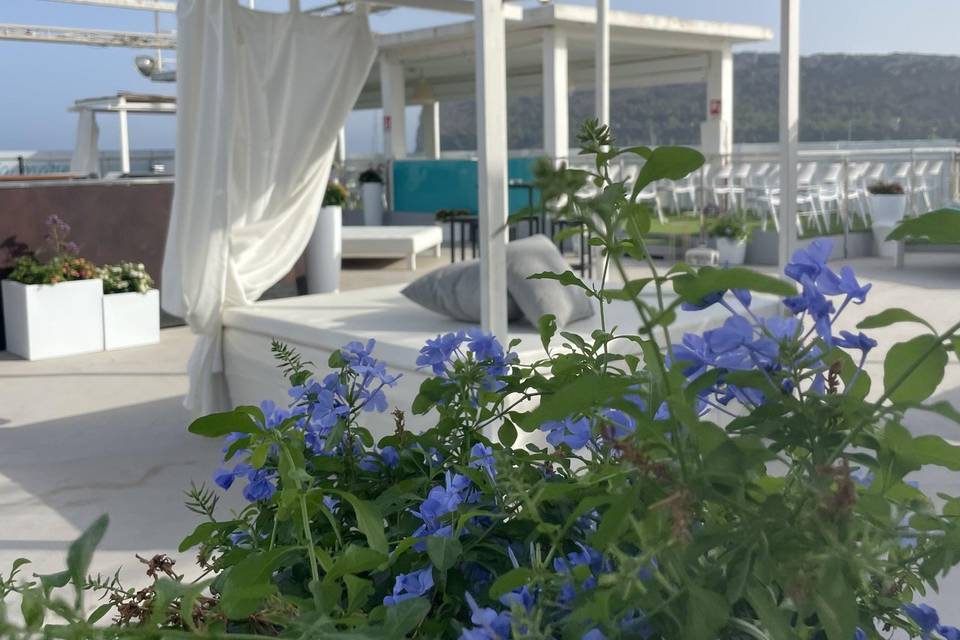 Area 41 Rotonda Lido di Caglia