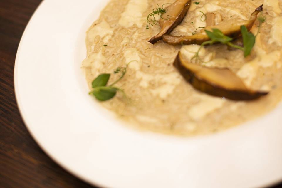 Risotto ai porcini