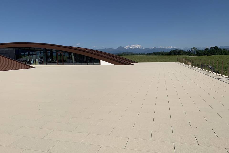 La Piemontina