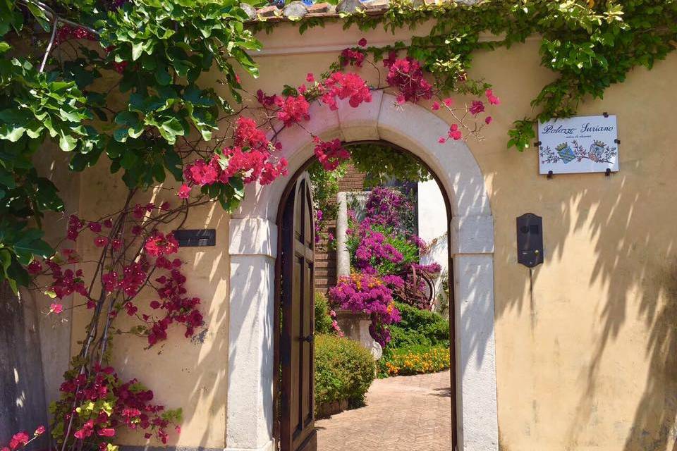 Fiori e aranci nei giardini