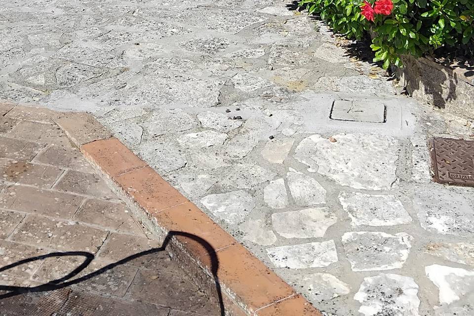 Giardino