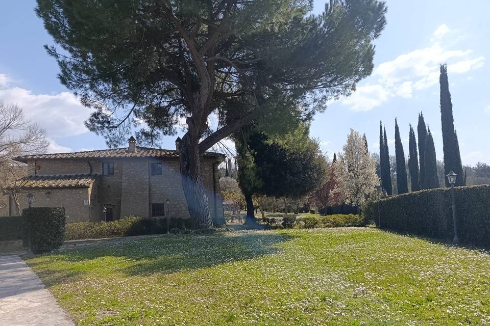 Relax nel verde